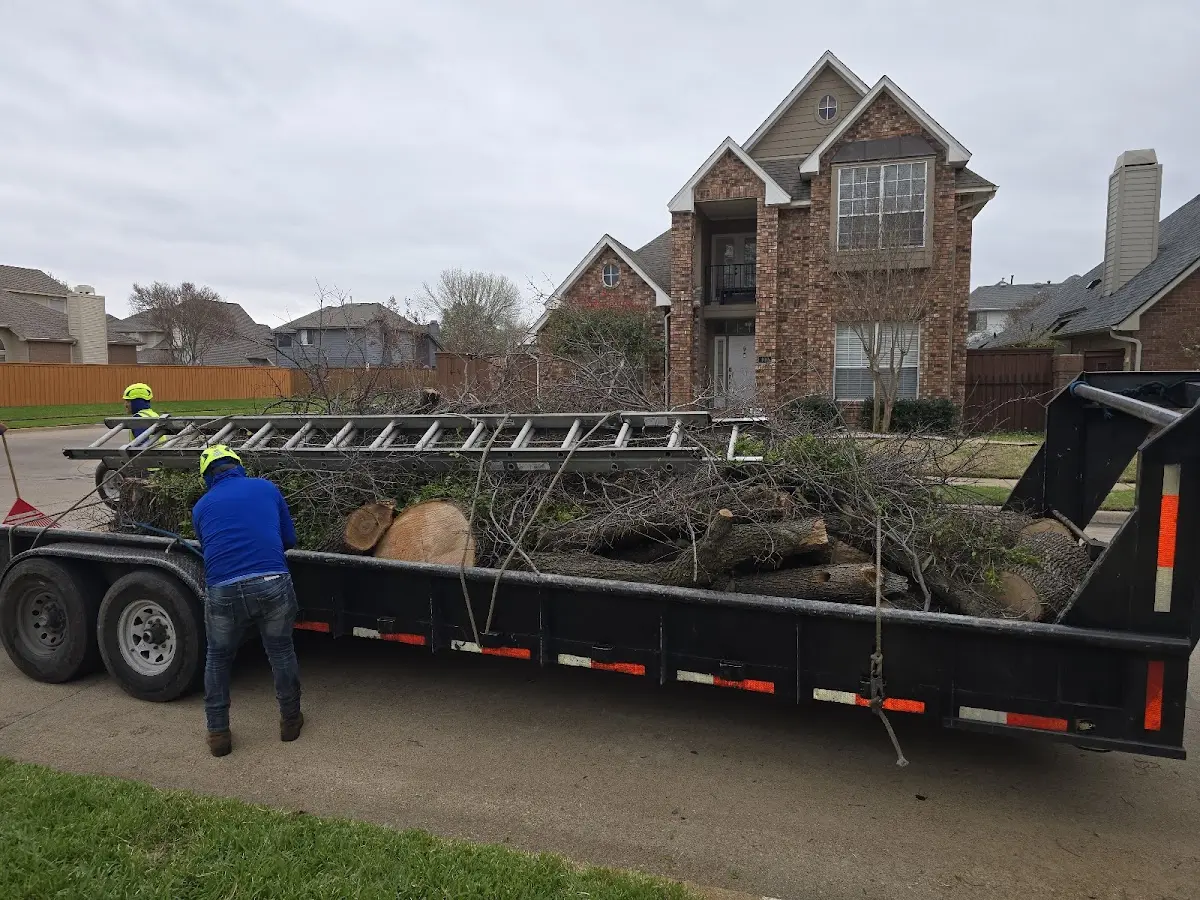 Expert Lot Clearing with proper safety equipment in Bosler